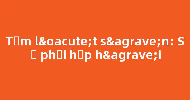 Tấm lót sàn: Sự phối hợp hài